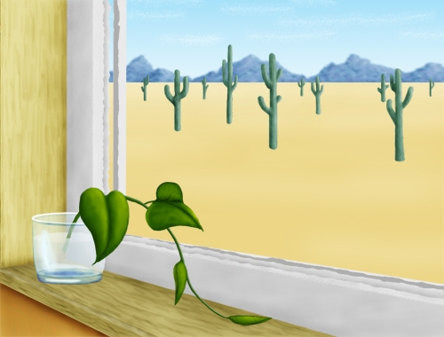 Creation of Desert Window: Step 7